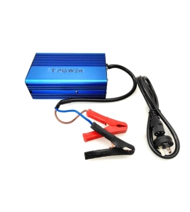 Fast Lithium Battery Charger 54.6V 15A 900W for 48V LifePO4 lithium battery