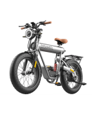 Coswheel T20R 20" Mountain Vintage eBike 750W 48V 10Ah 4" Fat Tires super 73