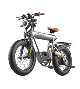 Coswheel T20R 20&quot; Mountain Vintage eBike 750W 48V 10Ah 4&quot; Fat Tires super 73