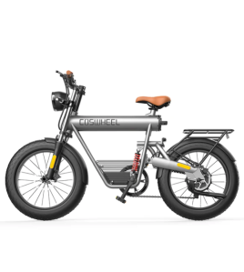 Coswheel T20R 20&quot; Mountain Vintage eBike 750W 48V 10Ah 4&quot; Fat Tires super 73