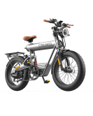 Coswheel T20R 20" Mountain Vintage eBike 750W 48V 10Ah 4" Fat Tires super 73