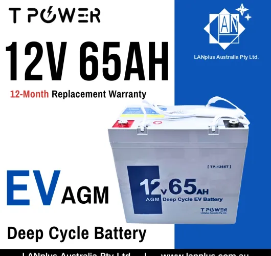 12V 65AH AGM DEEP CYCLE EV Battery Mobility Scooter Golf Wheelchair 55Ah 6FM6