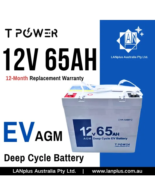 12V 65AH AGM DEEP CYCLE EV Battery Mobility Scooter Golf Wheelchair 55Ah 6FM6