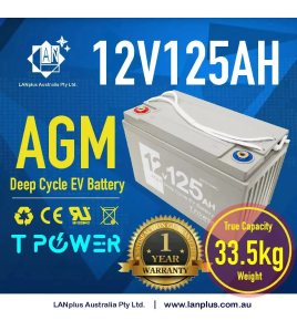 12V 125AH AGM DEEP CYCLE BATTERY Caravan Boat Solar Fridge 4WD 2Years WTY
