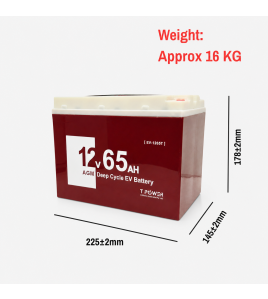 12V 65AH AGM DEEP CYCLE Battery Mobility Scooter Golf Cart Wheelchair 6FM65