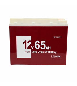 12V 65AH AGM DEEP CYCLE Battery Mobility Scooter Golf Cart Wheelchair 6FM65