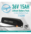 TPOWER 36V 15Ah Hailong Lithium E-Bike Battery Pack 750W Charger not include