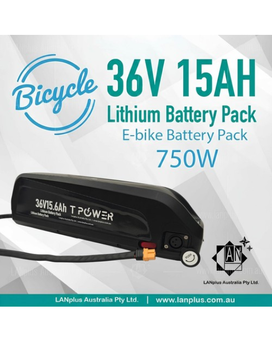TPOWER 36V 15Ah Hailong Lithium E-Bike Battery Pack 750W Charger not include