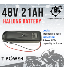 48V 21Ah Hailong Lithium Battery 1000W Ebike 54.6V Charger BMS Protection
