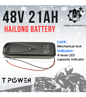 48V 21Ah Hailong Lithium Battery 1000W Ebike 54.6V Charger BMS Protection