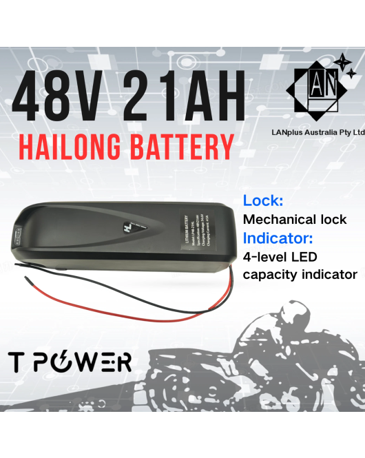 48V 21Ah Hailong Lithium Battery 1000W Ebike 54.6V Charger BMS Protection