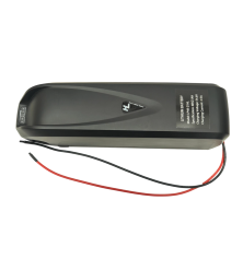 48V 21Ah Hailong Lithium Battery 1000W Ebike 54.6V Charger BMS Protection