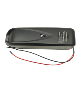 48V 21Ah Hailong Lithium Battery 1000W Ebike 54.6V Charger BMS Protection