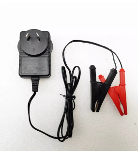 7.2V 2A LFP Lithium Battery charger for 6V Lifepo4 lithium battery AU