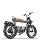 Coswheel CT20 20" Mountain eBike 1000W 48V 10Ah 5" Fat Tires super 73