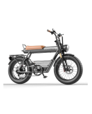 Coswheel CT20 20" Mountain eBike 1000W 48V 10Ah 5" Fat Tires super 73