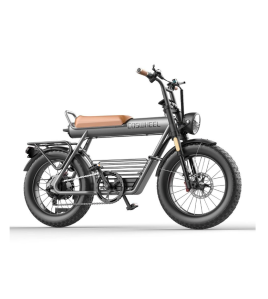 Coswheel CT20 20&quot; Mountain eBike 1000W 48V 10Ah 5&quot; Fat Tires super 73