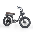 Demo 500W 48V 13ah Electric Bike EBike Bicycle Fat Tyre Vintage Design >super 73 MEL Mel Pick Up Only