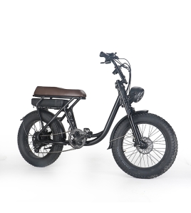 Demo 500W 48V 13ah Electric Bike EBike Bicycle Fat Tyre Vintage Design &gt;super 73 MEL Mel Pick Up Only