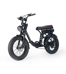 Demo 500W 48V 13ah Electric Bike EBike Bicycle Fat Tyre Vintage Design &gt;super 73 MEL Mel Pick Up Only
