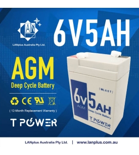 T power 6V 5AH SLA AGM battery