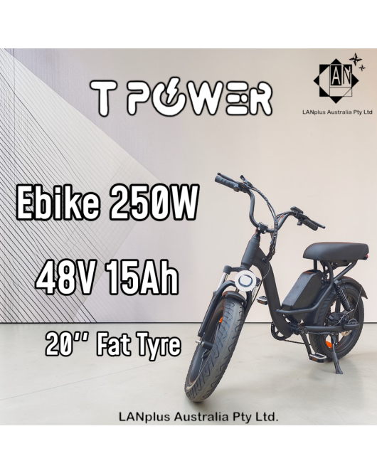 Tpower 48V 15Ah 250W E-Bike Electric Bike 20'' Fat Tyre