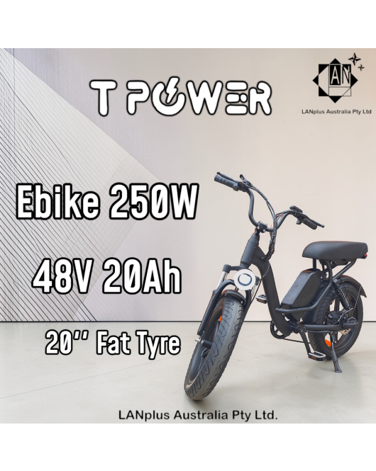 Tpower 48V 20AH 250W E-Bike Electric Bike 20'' Fat Tyre