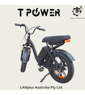 Tpower 48V 20AH 250W E-Bike Electric Bike 20'' Fat Tyre