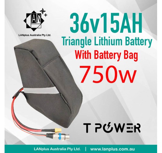 36V 15Ah Triangle Lithium Battery 750W Motor Electric Bike eBike 40A