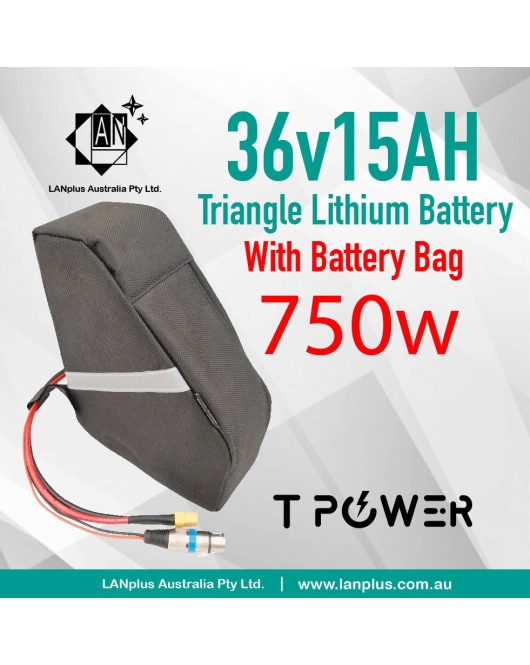36V 15Ah Triangle Lithium Battery 750W Motor Electric Bike eBike 40A