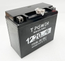 YTX20L-BS motorcycle Battery f Harley-Davidson FLS FLST FXST FLST Softail AU Sto