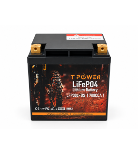TPower LFP30L-BS 12V 700CCA LiFePO4 Motorcycle Battery YTX30L-BS YIX30L
